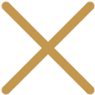 close icon